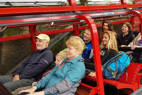 Blue Mountains Ultimate One-Day Tour - Phillip Island Accommodation 0