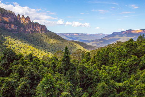 Blue Mountains Nature And Wildlife Day Tour From Sydney - Phillip Island Accommodation 1