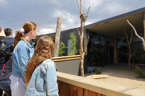 Blue Mountains Nature And Wildlife Day Tour From Sydney - Phillip Island Accommodation 3