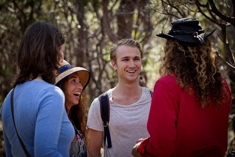 Blue Mountains Nature And Wildlife Day Tour From Sydney - Phillip Island Accommodation 4