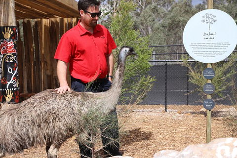 Blue Mountains Nature And Wildlife Day Tour From Sydney - Phillip Island Accommodation 5