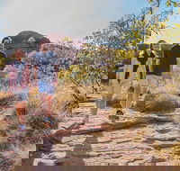 Kings Canyon Day Trip from Ayers Rock Uluru - Phillip Island Accommodation