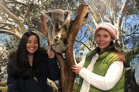 The Ultimate Sydney Attractions Pass - Phillip Island Accommodation 1