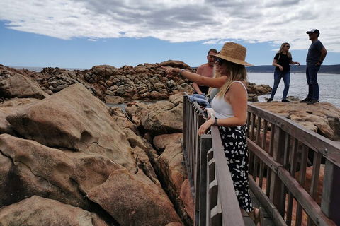Margaret River Impression Day Tour From Perth - Phillip Island Accommodation 4