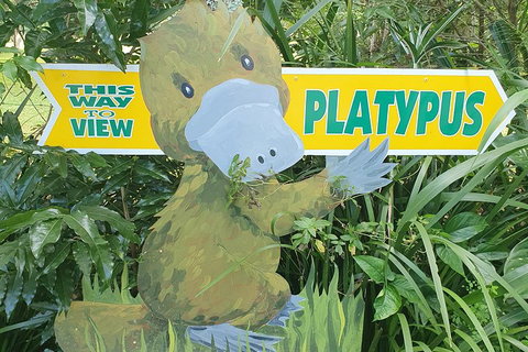 Full Day Atherton Tablelands Tour From Cairns - Phillip Island Accommodation 5