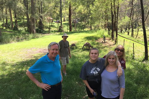 Small Group Blue Mountains Day Tour From Sydney - Phillip Island Accommodation 1