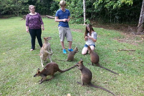 Small Group Blue Mountains Day Tour From Sydney - Phillip Island Accommodation 2