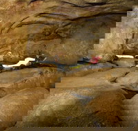 2-Day Wave Rock York Wildflowers  Aboriginal Experience - Phillip Island Accommodation