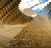 Wave Rock York Wildflowers and Aboriginal Cultural Day Tour from Perth - Phillip Island Accommodation