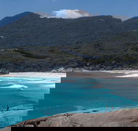 Wilson's Promontory Small Group Eco Tour from Melbourne