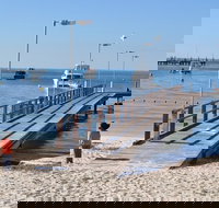 Monkey Mia Dolphins  Shark Bay Air Tour From Perth - Phillip Island Accommodation