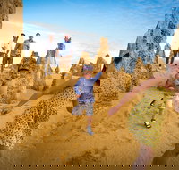 Full-Day Pinnacles Desert and Yanchep National Park Tour From Perth - Phillip Island Accommodation