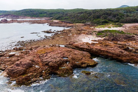 Port Stephens Bush, Beach And Sand Dune 4WD Tag-Along Tour - Phillip Island Accommodation 4