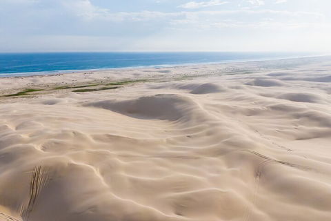 Port Stephens Bush, Beach And Sand Dune 4WD Passenger Tour - Phillip Island Accommodation 2