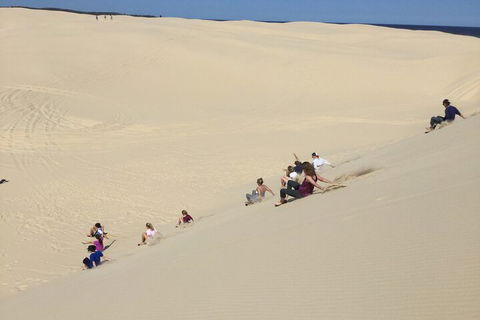 Port Stephens Bush, Beach And Sand Dune 4WD Passenger Tour - Phillip Island Accommodation 4
