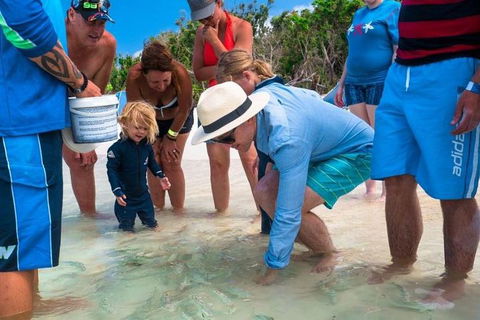 Whitehaven Beach And Hamilton Island Cruise - Phillip Island Accommodation 1