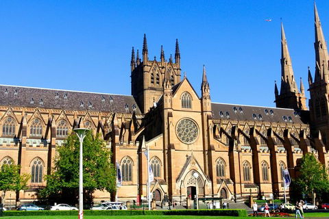 Sydney Private Day Tours | Main Attractions And Highlights | 6 Hour Private Tour - Phillip Island Accommodation 1