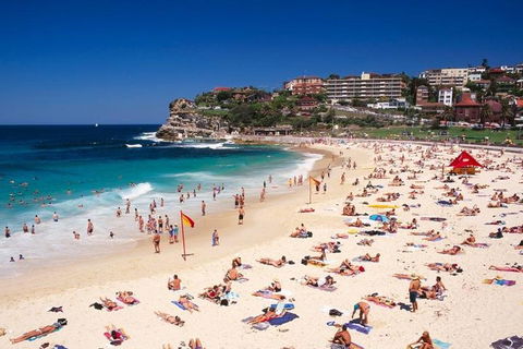 Sydney Private Day Tours | Main Attractions And Highlights | 6 Hour Private Tour - Phillip Island Accommodation 2