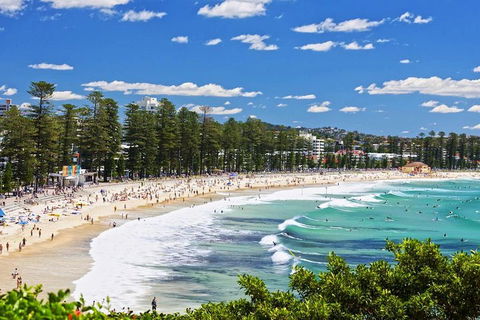 Sydney's Northern Beaches Private Tour With River Cruise To Secluded Beaches - Phillip Island Accommodation 0