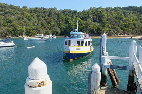 Sydney's Northern Beaches Private Tour With River Cruise To Secluded Beaches - Phillip Island Accommodation 2