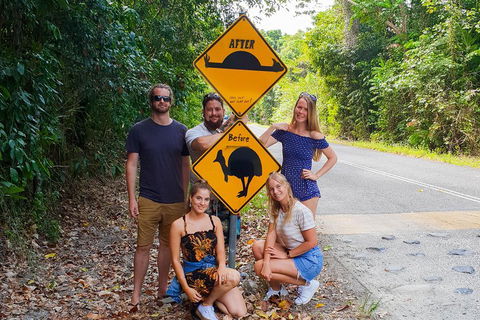 Cape Tribulation, Daintree Rainforest And Wildlife Tour - Phillip Island Accommodation 0