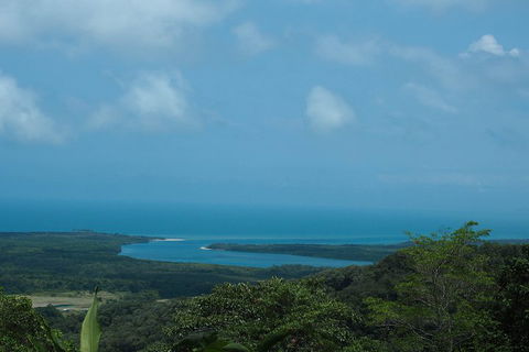 Cape Tribulation, Daintree Rainforest And Wildlife Tour - Phillip Island Accommodation 1