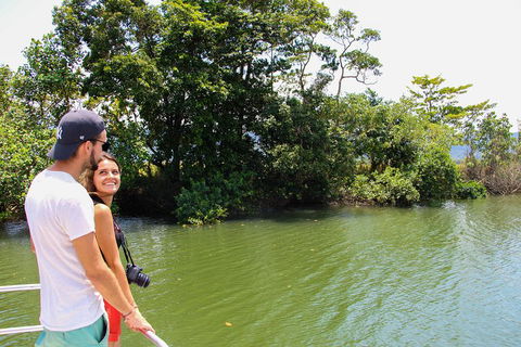 Cape Tribulation, Daintree Rainforest And Wildlife Tour - Phillip Island Accommodation 2