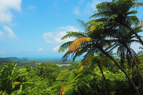 Cape Tribulation, Daintree Rainforest And Wildlife Tour - Phillip Island Accommodation 3
