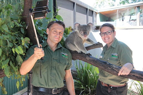 Virtual Interactive Australian Wildlife Tour With Private Guide-Wildlife Habitat - Phillip Island Accommodation 0
