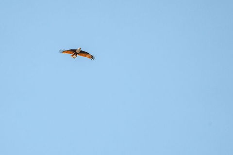 North Stradbroke Island Day Trip From Brisbane - Phillip Island Accommodation 4