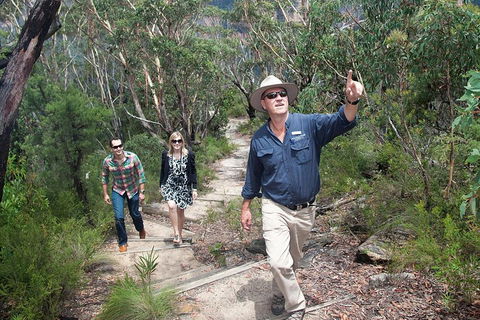 Small-Group Blue Mountains Tour With Bush Walks And Featherdale Wildlife Park - Phillip Island Accommodation 0