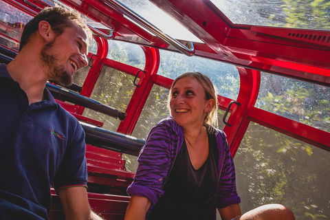 Blue Mountains Hop-on Hop-off Tour With Optional Scenic World Rides - Phillip Island Accommodation 5
