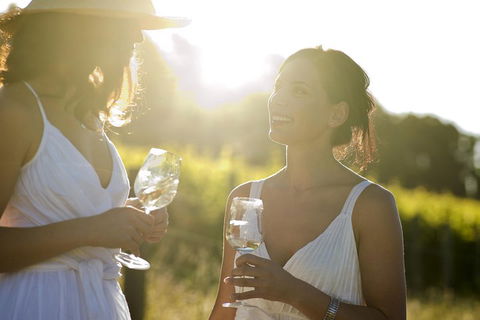 Hunter Valley Wine Tour From Sydney With Lunch And 3 Cellar Door Tastings - Phillip Island Accommodation 4