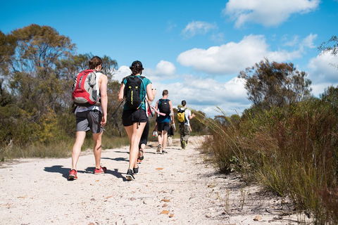 Pittwater Discovery Kayaking Tour - Phillip Island Accommodation 0