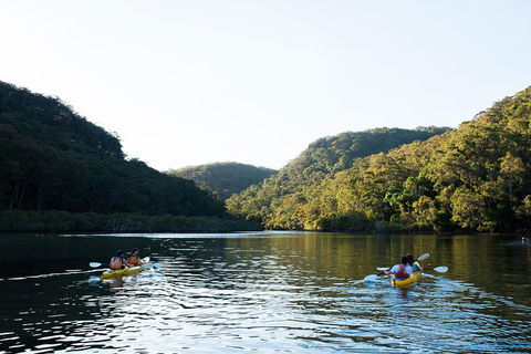 Pittwater Discovery Kayaking Tour - Phillip Island Accommodation 1