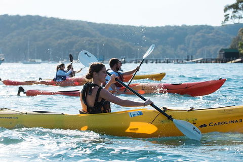 Pittwater Discovery Kayaking Tour - Phillip Island Accommodation 2