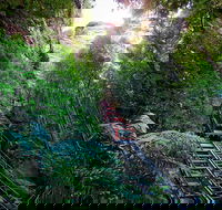 Private Blue Mountains Tour