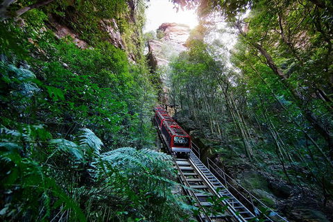 Private Blue Mountains Tour - Phillip Island Accommodation 0