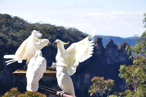 Private Blue Mountains Tour - Phillip Island Accommodation 1