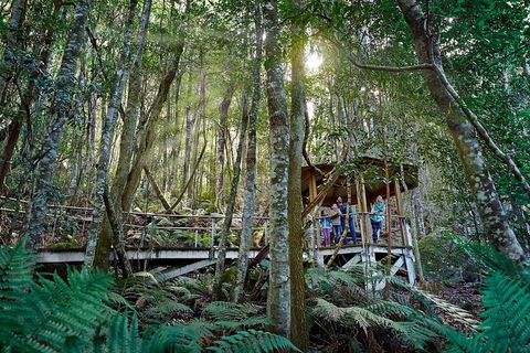 Private Blue Mountains Tour - Phillip Island Accommodation 4