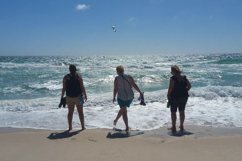 Very Best Of Perth Tour - Wildlife Park & City Highlights Tour - Phillip Island Accommodation 5