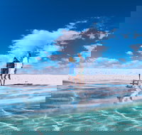 4-Day Coastal Loop via Monkey Mia Wild Dolphins Kalbarri Pinnacles Perth Return - Phillip Island Accommodation