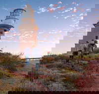 6-Day Coral Coaster from Perth to Exmouth One-Way via Monkey Mia Ningaloo Reef - Phillip Island Accommodation