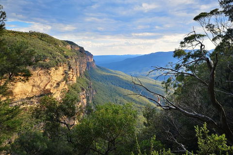 Sunset Blue Mountains Wilderness & Wildlife Tour Without The Crowds - Phillip Island Accommodation 2
