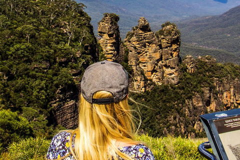 Sunset Blue Mountains Wilderness & Wildlife Tour Without The Crowds - Phillip Island Accommodation 4