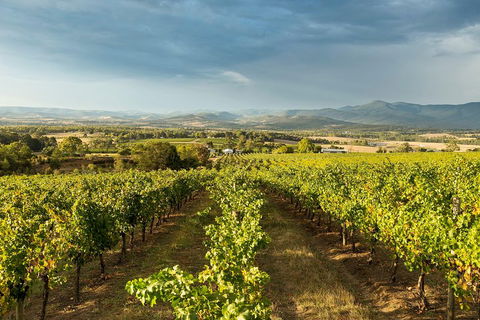Yarra Valley Local Produce And Wine Tasting Tour - Phillip Island Accommodation 3