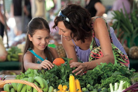 Sunshine Coast Eumundi Markets Return Minibus Transfer - Phillip Island Accommodation 4