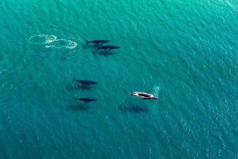 40-45 Minute Port Stephens And Stockton Beach Helicopter Flight - For 2 - Phillip Island Accommodation 0