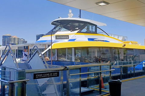 Brisbane City Essentials Walking Tour - Phillip Island Accommodation 3