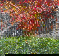 Margaret River Private Tour - Phillip Island Accommodation